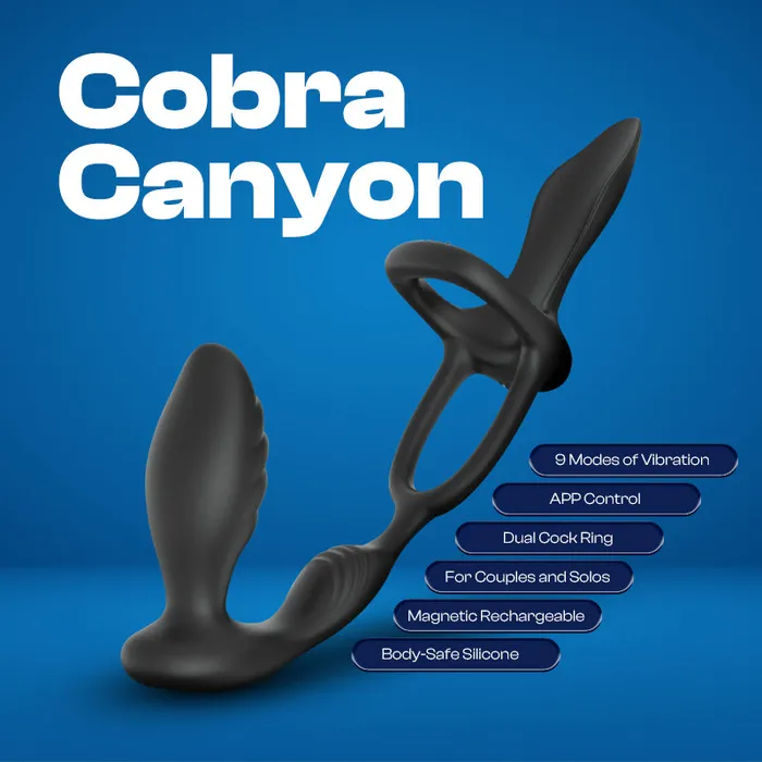 Male Sex Toys FRISKY BUSINESS SG Cobra Canyon APP Control Prostate Massager with Cock Ring