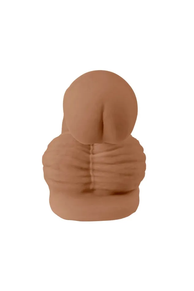 Male Sex Toys Evolved Gender X 4 Silicone Packing Penis Assorted Colors