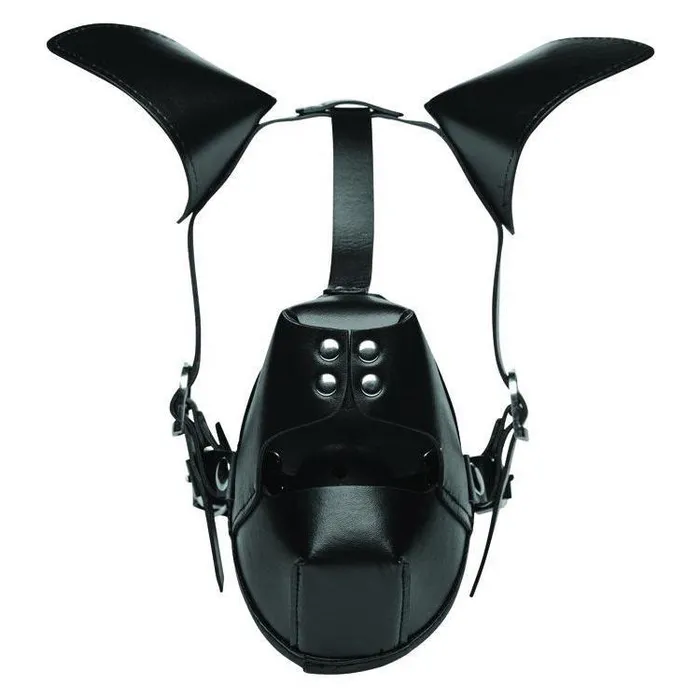 Pup Puppy Play Hood and Breathable Ball Gag Master Series Couples